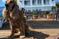 WhatsApp-Image-2023-06-12-at-19.59.45